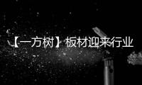 【一方树】板材迎来行业大咖，共谋发展新篇章