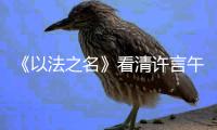 《以法之名》看清许言午的神秘身份，才懂江敏对洪亮的算计有多狠