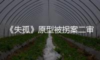 《失孤》原型被拐案二审开庭：受害人提供新线索，被告人相互推诿