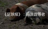 《足球报》：冯潇霆等老将确认无缘国家队名单