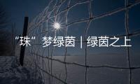 “珠”梦绿茵｜绿茵之上：金湾区如何打造足球发展生态链
？