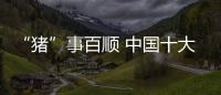 快排公司十年历程，霸屏兔 seo 的崛起与坚守