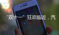 “双十一”狂欢临近	，汽车照明企业绝不可抛诚信
