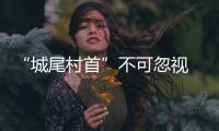 “城尾村首”不可忽视 人大代表支招乡镇振兴