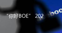“你好BOE” 2025首站！超酷现场等你来看