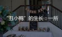 “丑小鸭”的生长：一所学校防治青少年抑郁的探索与思考