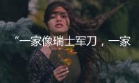 “一家像瑞士军刀�，一家像手术刀”：中国版英伟达抢滩科创板
