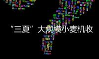“三夏”大规模小麦机收全面展开（新数据 新看点）