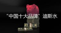 “中国十大品牌”迪斯水性漆 万众瞩目 精品亮相