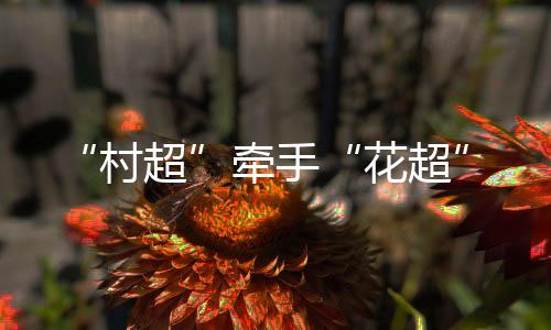 牵手花超党相村队最终2:1获胜