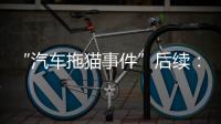 “汽车拖猫事件”后续：三人造谣网暴被行拘