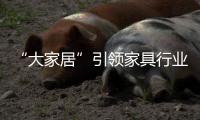 “大家居”引领家具行业迈上一个新台阶
