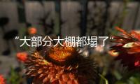 “大部分大棚都塌了”，湖北农业冻雨后迎大考