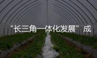 “长三角一体化发展”成安徽省两会“关键词”