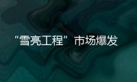 “雪亮工程”市场爆发 平安城市建设带动安防飞速发展