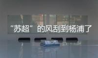 “苏超”的风刮到杨浦了！这场足球赛新星闪耀