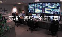 “苏超”赛场用的国产草，到底有多能打？