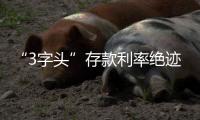 “3字头”存款利率绝迹	，民营银行高息揽储难以为继？