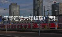 快排公司十年历程，霸屏兔 seo 的崛起与坚守