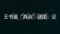 王书金“真凶”谜团：证据审查与疑罪从无原则的坚守