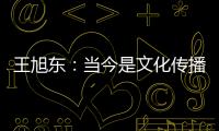 王旭东：当今是文化传播的最好时代