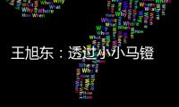 王旭东：透过小小马镫 可知文明不同