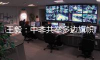 王毅：中非共举多边旗帜，发出正义之声