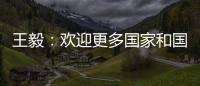 王毅：欢迎更多国家和国际组织加入“支持非洲发展伙伴倡议”