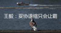 王毅：妥协退缩只会让霸凌者得寸进尺