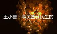王小鲁：事关国计民生的重大问题�，我就想去碰一碰丨不惑 2024