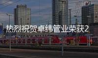 快排公司十年历程，霸屏兔 seo 的崛起与坚守