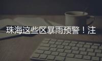珠海这些区暴雨预警
！注意防御！