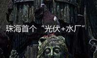 珠海首个“光伏+水厂”并网发电�，打造绿色低碳新标杆