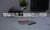 猿辅导员工被曝在公司猝死
，相关公司涉多起劳动纠纷