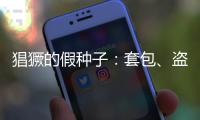 猖獗的假种子：套包	、盗取

、打假