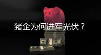 猪企为何进军光伏？