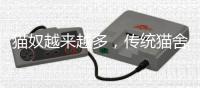 猫奴越来越多，传统猫舍却开不下去了
�？