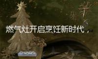 燃气灶开启烹饪新时代
，丰蓝1号燃气灶电池赋能美味佳肴