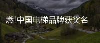 燃!中国电梯品牌获奖名单揭晓，佳登曼电梯上榜