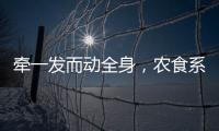 牵一发而动全身，农食系统绿色转型谁在“突围”？｜2024企业双碳行动力调研