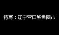 特写：辽宁营口鲅鱼圈市民以积极心态面对疫情