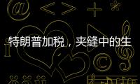 特朗普加税
，夹缝中的生意人怎么办
？