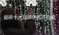 瓷砖十大品牌伊莉莎白瓷砖新品上市，让空间更大气