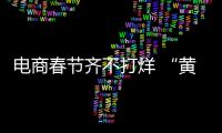 电商春节齐不打烊 “黄金周”家电终端零售情况综述
