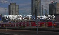 电商潮流之下	，木地板企业需要创新与变革
