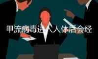 甲流病毒进入人体后会经历什么？
