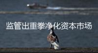 监管出重拳净化资本市场	：IPO倒查十年，对违法违规上“硬措施”