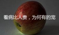 看病比人贵，为何有的宠物医院却赚钱难？