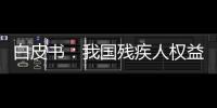白皮书
：我国残疾人权益保障更加有力