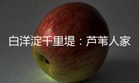 白洋淀千里堤：芦苇人家的今昔